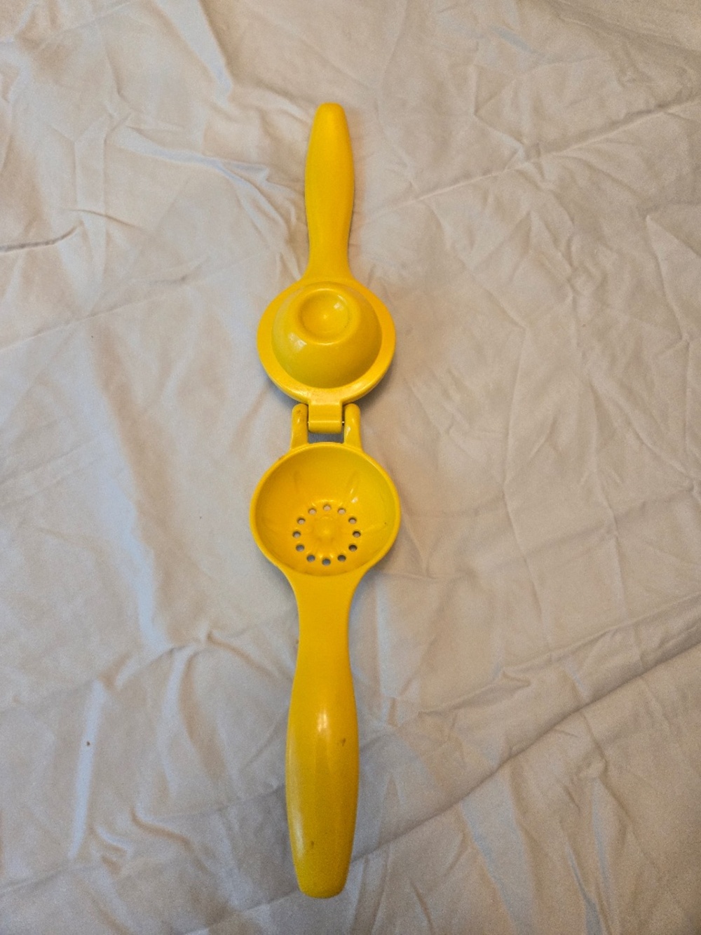 OXO Good Grips Citrus Juicer